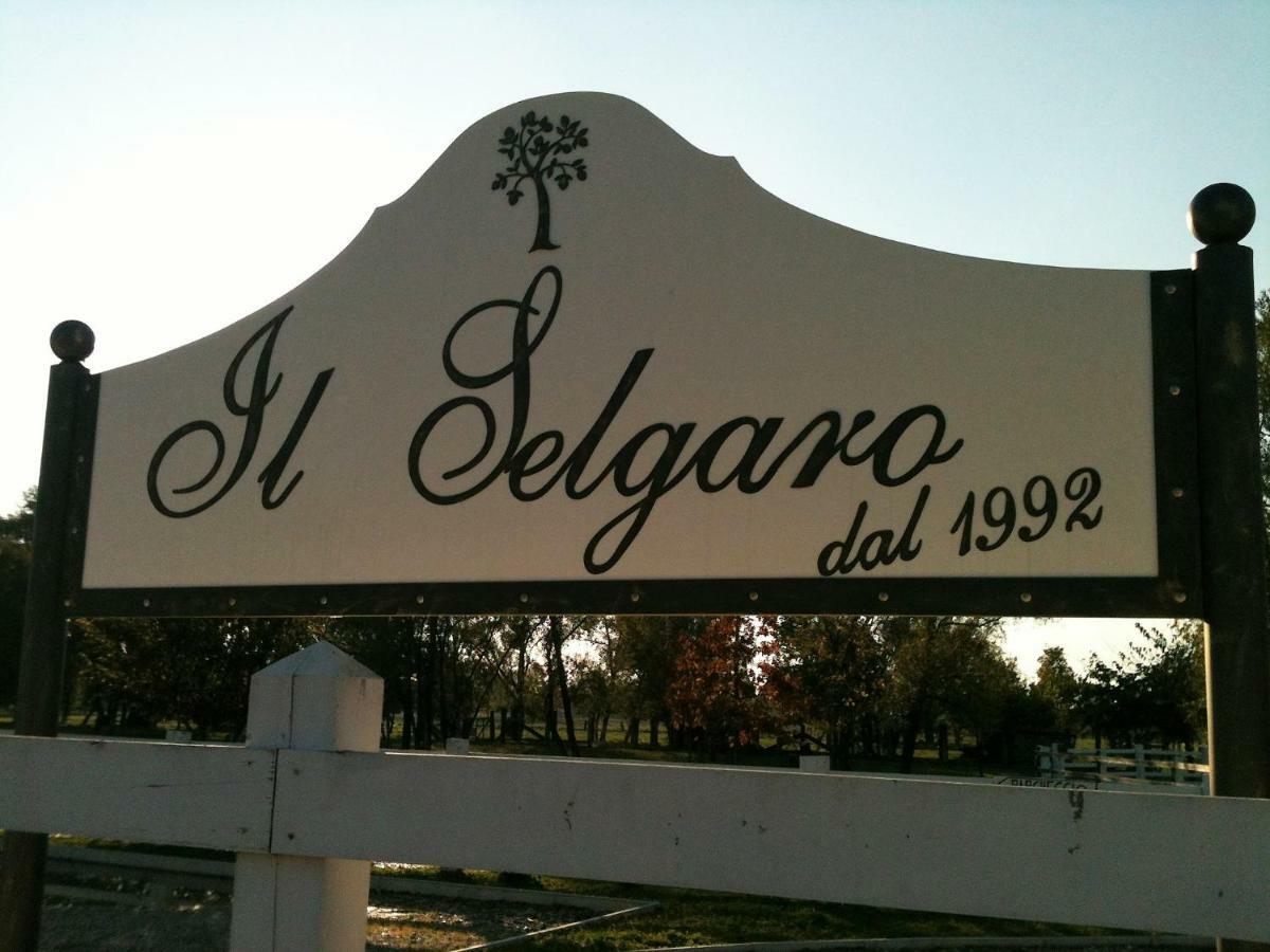 Hotel Il Selgaro Agriturismo Zelarino Exterior foto